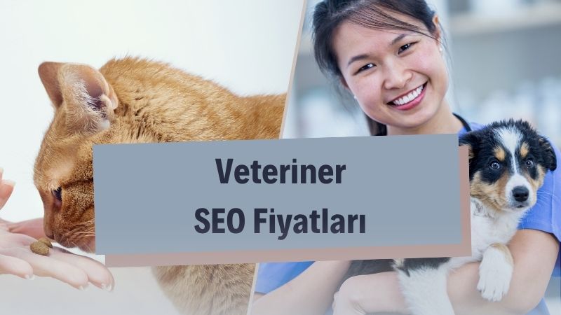 Veteriner SEO Fiyatları 